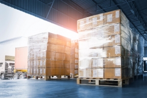 The Financial Benefits of Investing in Pallet Storage Warehouse for Businesses